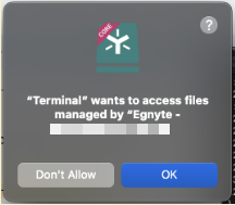 Desktop App Core Allow Terminal.png