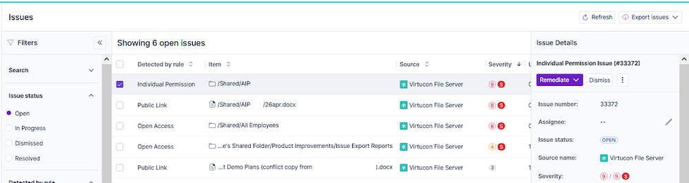 S&G - Issue view for power user.png