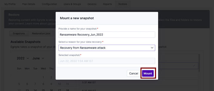 WebUI_Snapshot Ransomware_2.png