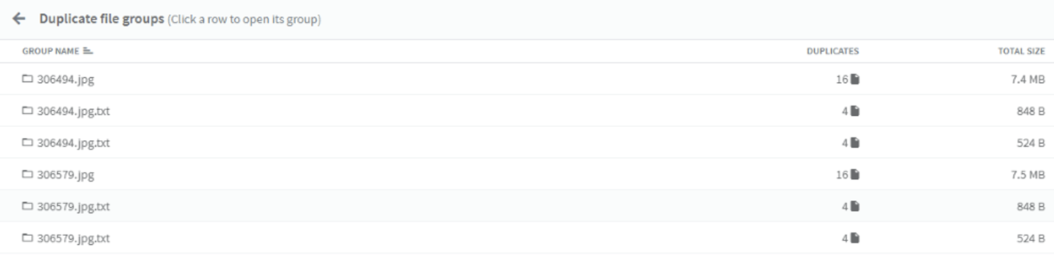 duplicate file lists.png