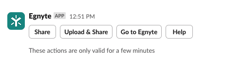 Egnyte for slack - options after running commands.png