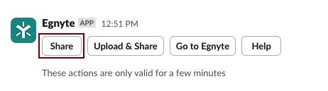Egnyte for slack - share button.png