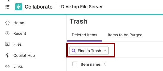 Restore items DA win - find in trash button.png