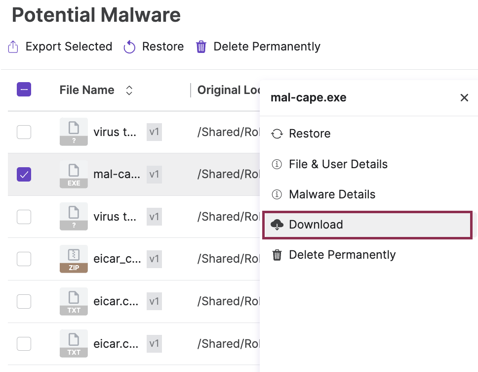 Malware Protection - 1.png