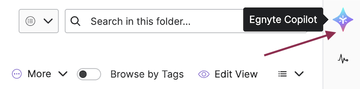 EgnyteCopilotUserGuide - 4.png