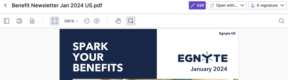 EgnyteCopilotUserGuide - 17.png
