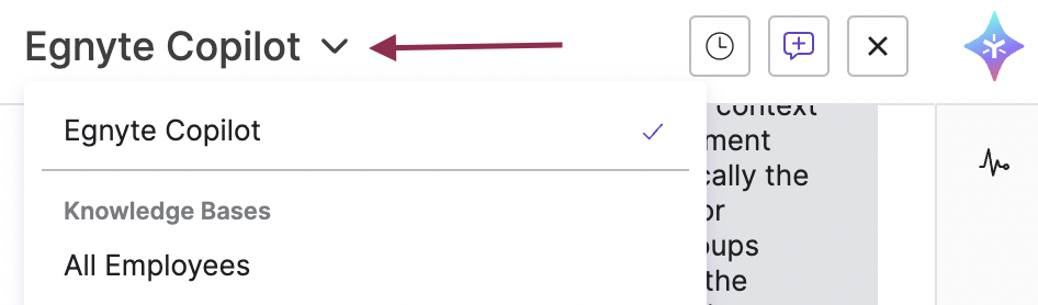 EgnyteCopilotUserGuide - 9.png
