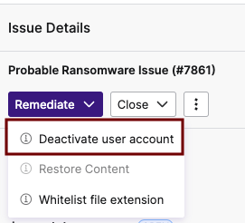 Ransomware FAQs 7.png