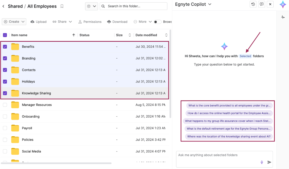 Copilot_User Guide_51.png
