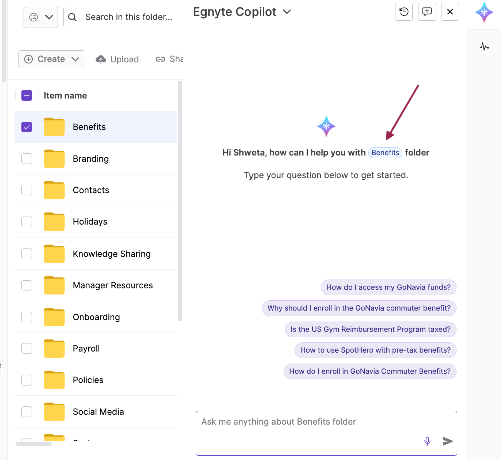 Copilot_User Guide_54.png