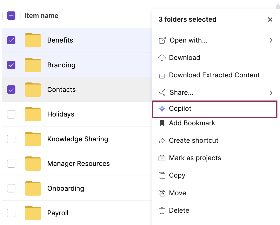 Copilot_User Guide_52.png