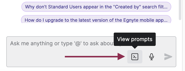 View Prompts.png