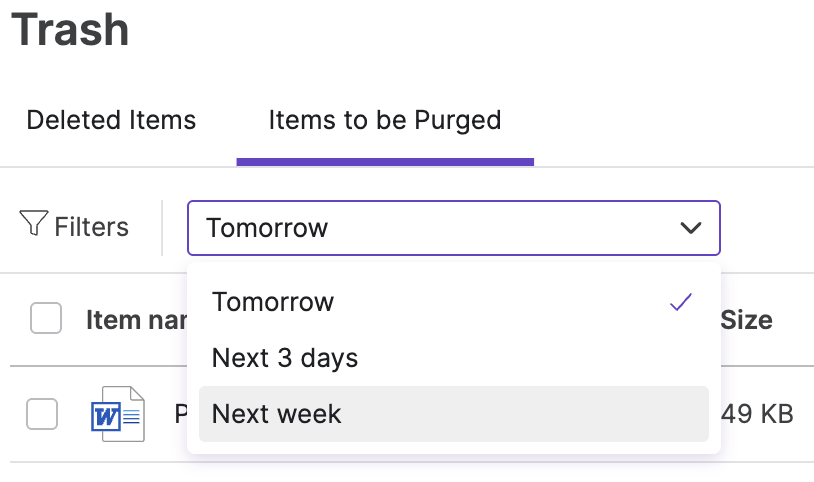Filters for Items to be Purged.png