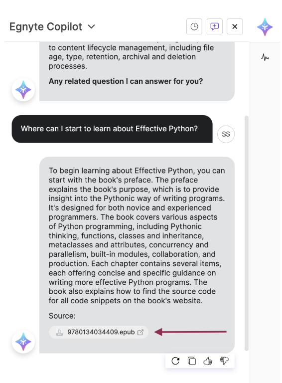 EgnyteCopilotUserGuide -9.png