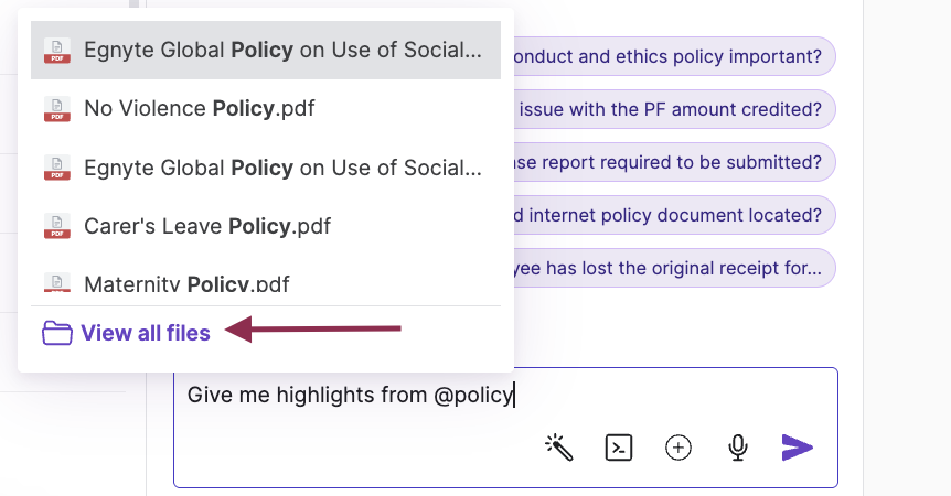 EgnyteCopilotUserGuide-10.png