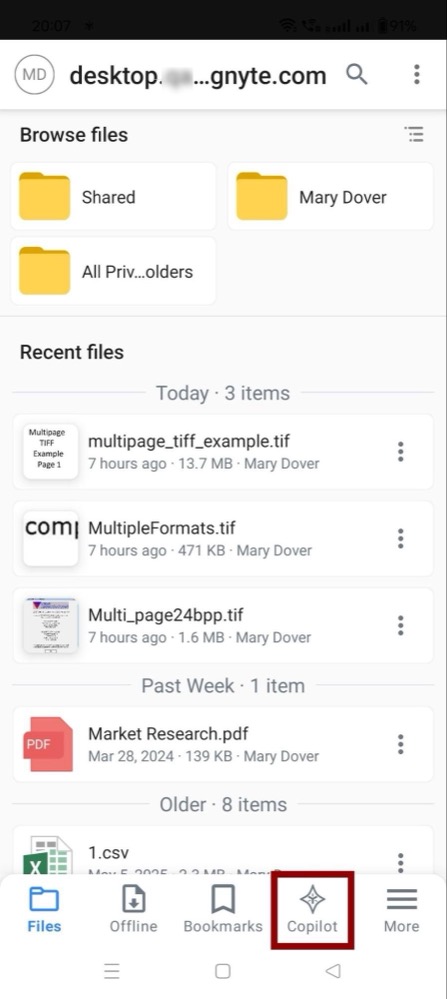 Android_Copilot User Guide 1.jpg