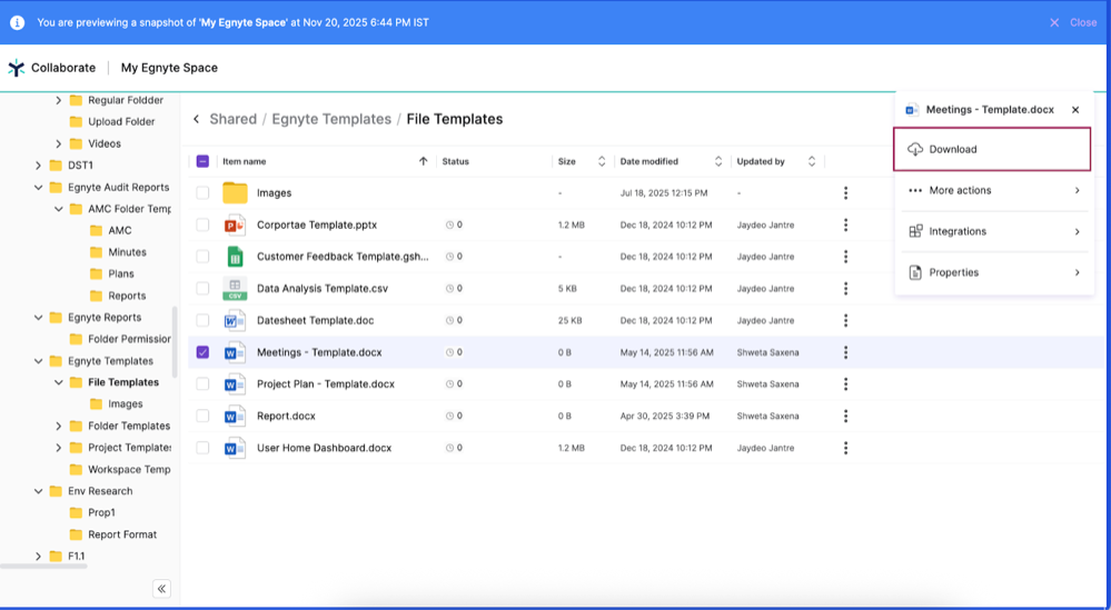 File Preview or Download-2.png