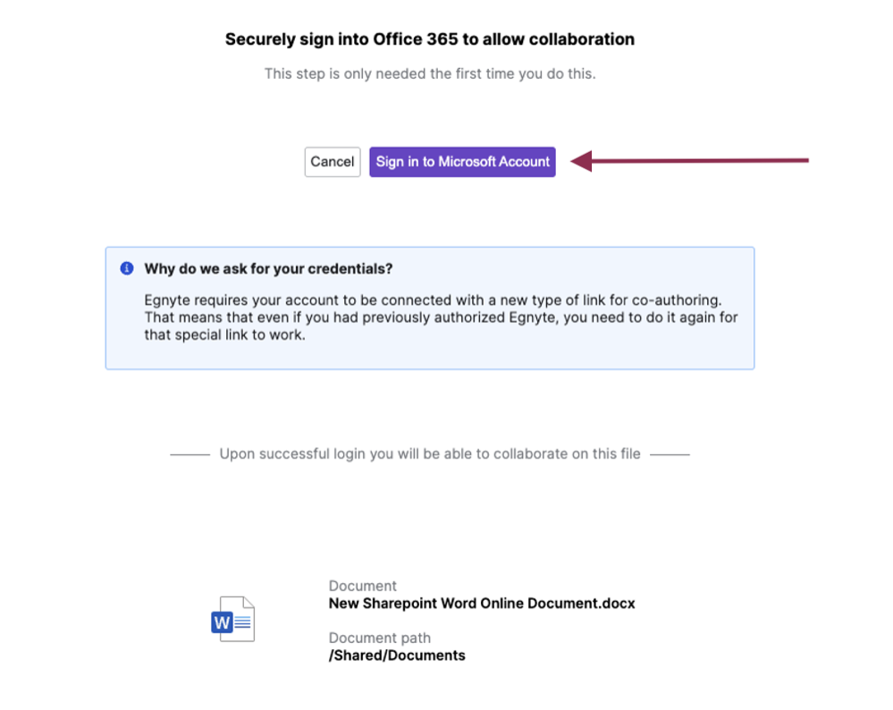 PINT_Microsoft Coediting SPE 17.png