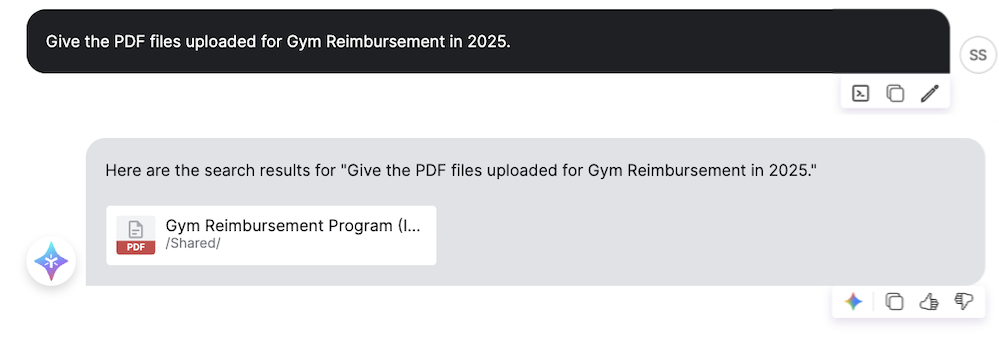 AI_copilot user guide 11-dece-2025 15.png
