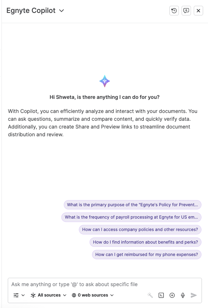 AI_Copilot Overview 1.png