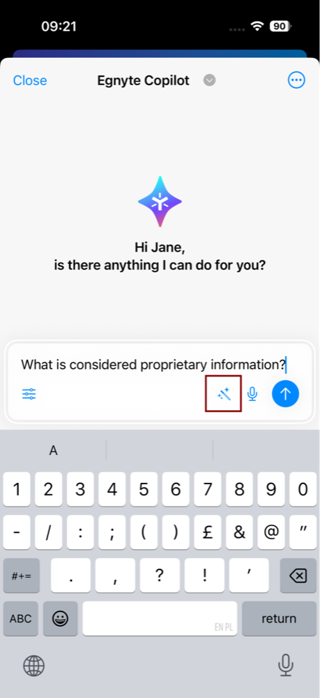iOS_copilot chat 12.png