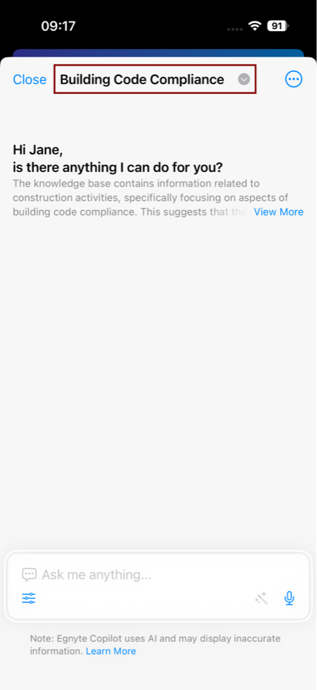 iOS_copilot chat 3.png