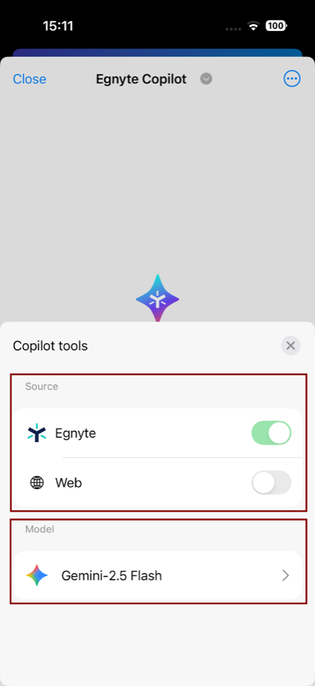 iOS_copilot chat 6.png