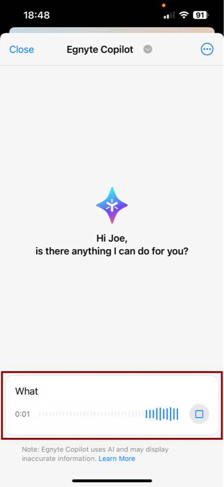 iOS_copilot chat 8.png