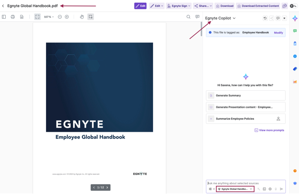 Egnyte Copilot - User Guide 4-mar-2026 1.png