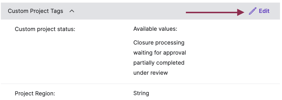 Web UI_Customizable Project Metadata 3.png