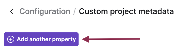 Web UI_Customizable Project Metadata 4.png