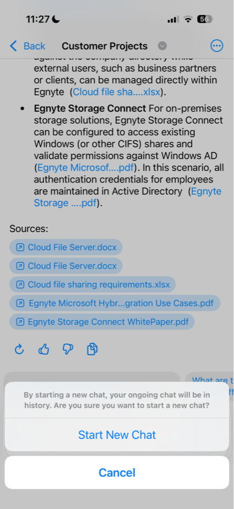 Mobile_Egnyte AI Assistant iOS User Guide 9.png