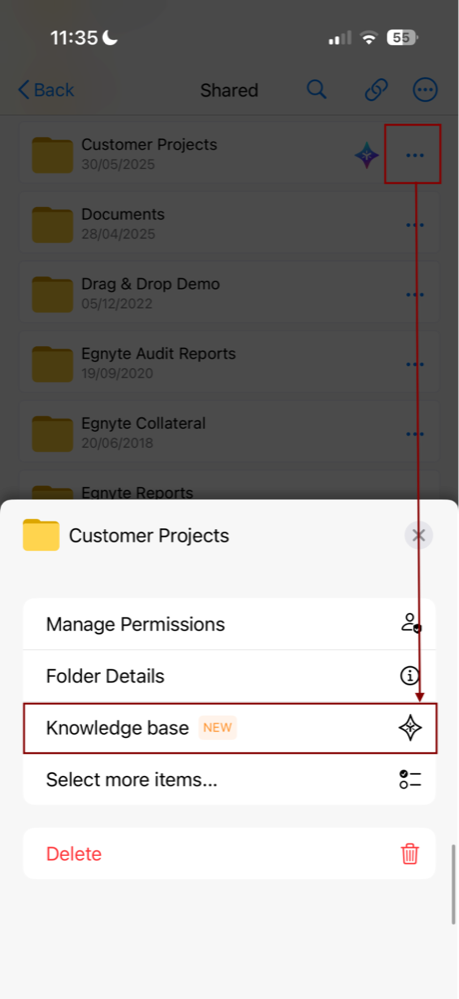 Mobile_Egnyte AI Assistant iOS User Guide 11.png