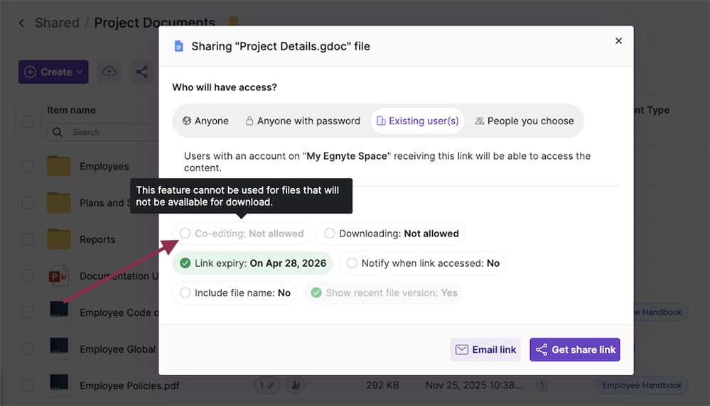 Sharing Co-Editable Links for Google Files 1.png