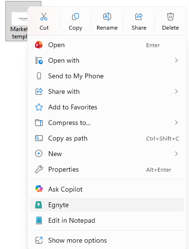 Desktop App_Manual File Locking1.png
