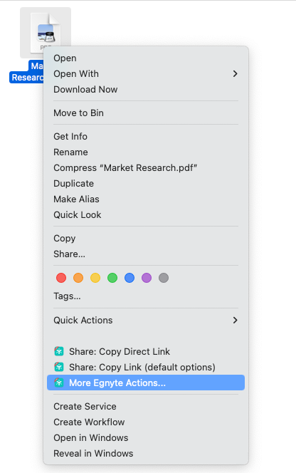 Desktop App_Manual File Locking9.png