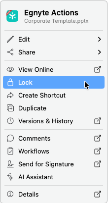 Desktop App_Manual File Locking4.png