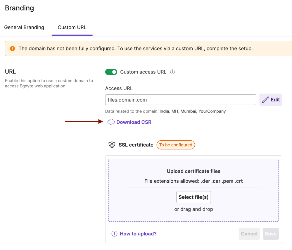 WebUI_Custom Access URL 24-7-2026_3.png
