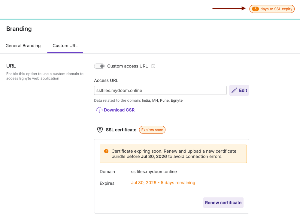 WebUI_Custom Access URL 24-7-2026_5.png