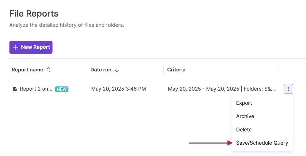 Reports_Save or Schedule Audit Reports_4.png
