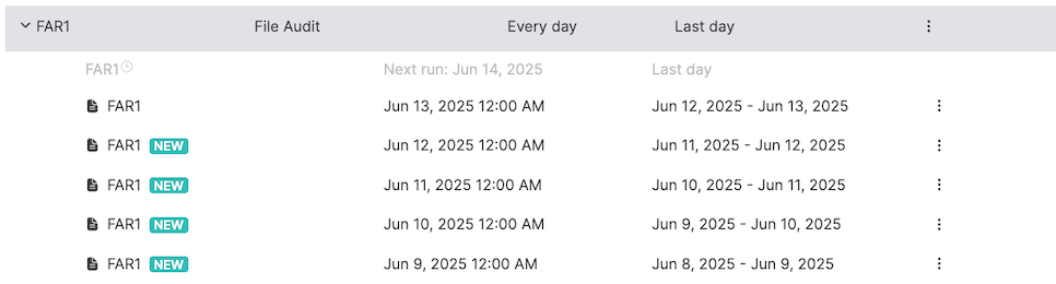 Reports_Save or Schedule Audit Reports_19.png