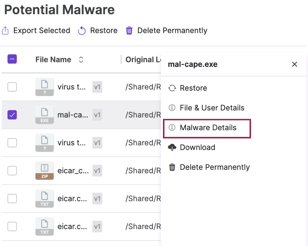 Malware_Details_2.png